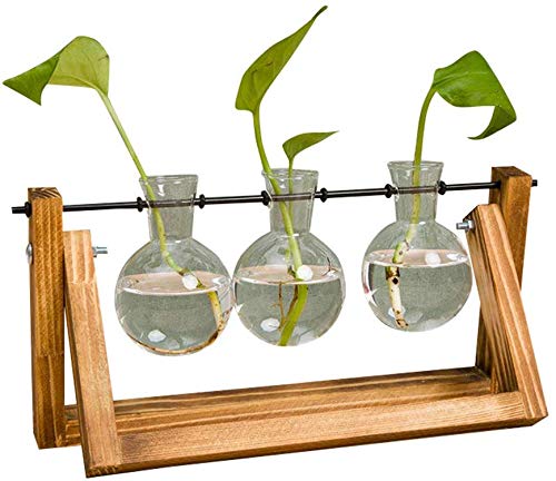 Venus valink Plante Étagères, Verre Vase Dessus de Table Hydroponie en Bois Plante Support Vintage Style Fleur Pot Affichage Support Rangement Rack pour Jardin - Rétro Couleur, 3 Vase