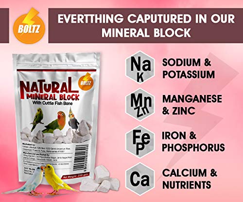 BOLTZ-All-Life-Stages-Natural-Mineral-Block-with-Cuttlefish-Bone-250-gm-for-Birds