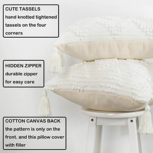 Blue Page SQ1087-30X50 Indoor/Outdoor Lumbar Decorative Pillow Covers 12X20 thumb #6