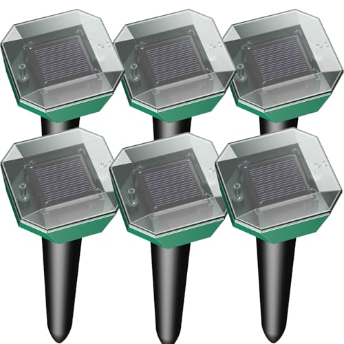 Sodwot Topo distribuidor 6 paquete