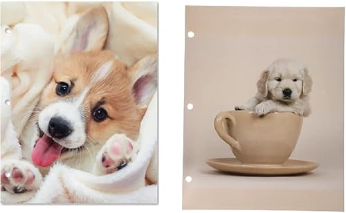 Paquete de carpetas Corgi and Teacup Labrador Puppy Juego de dos carpetas de cartera de 3 agujeros y 2 bolsillos