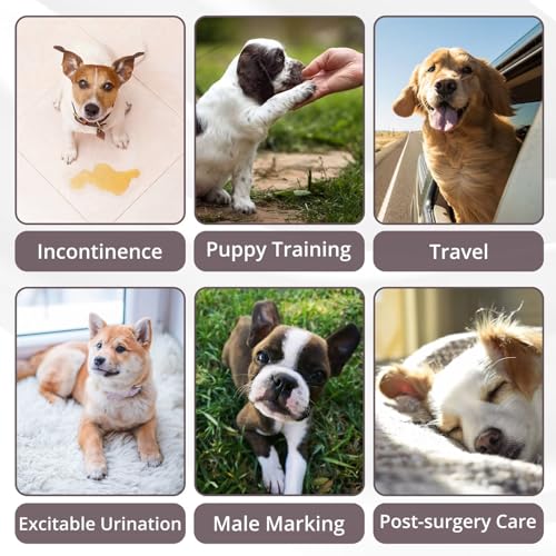 Image of Paw Legend Washable Dogs Diapers Male Dog Belly Bands for Male Dogs Diapers Reusable Puppy & Doggie Diapers Male (3 Pack, Small)