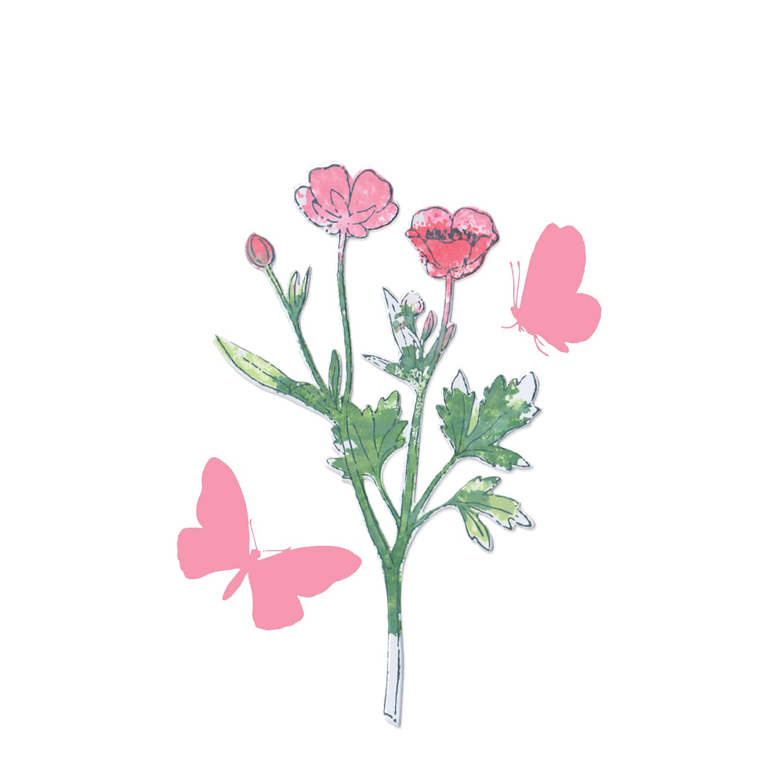 Sizzix A5 Clear Stamps & Framelits Dies - Painted Pencil Botanical by 49 and Market, Clear/Silver