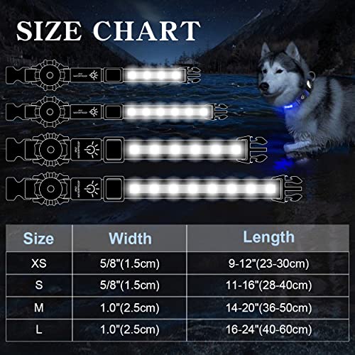 Tagme Led Air Tag Dog Collar, Rechargeable Waterproof Light Up Dog Collars, Adjustable Night Safety Glowing Collar For Medium Dogs, Blue #TOP5