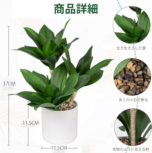 Villa Como フェイクグリーン インテリアグリーン 人工 観葉植物 フェイクドラセナ インテリア 新築祝い 開店祝い 新年 クリスマス オフィス 店 卓上 おしゃれ [2]