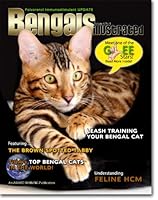 Top Bengal Cats Bengals Illustrated 1936522233 Book Cover