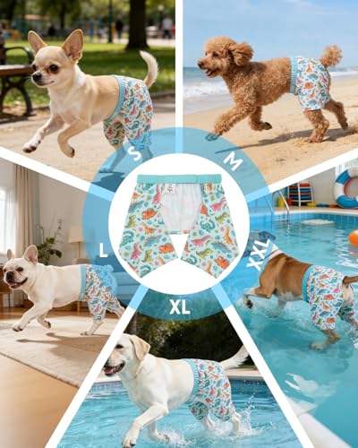 Image of CuteBone Dog Swim Trunks Swimsuit Durable & Comfortable - Quick-Dry, Adjustable Waistband Shorts, UV Protection Bikini- Perfect for Beach, Pool & Outdoor Fun, Dinos DST11XL