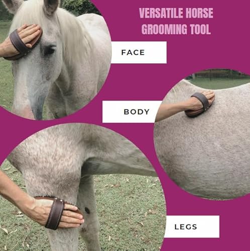 Escova de cuidados para cavalos. Escova macia feita à mão de luxo para rosto e corpo. Uma ferramenta