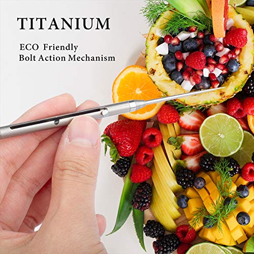 TISUR Titanium Bolt Integrated Toothpick and Holder Keychain Ultralight Travel Kits (Two slots/Gray)