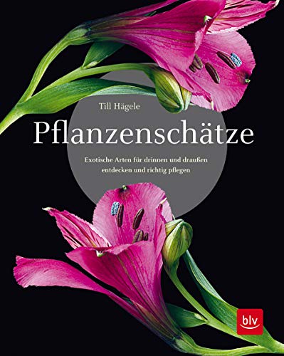 Pflanzenschätze: Exotische Arten für drinnen und draußen entdecken und...