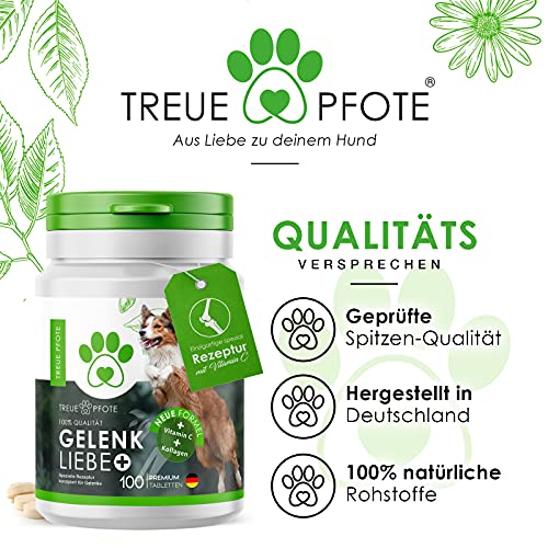 TreuePfote® - 100 Gelenktabletten Made in Germany für Hunde mit MSM, Grünlippmuschel und Teufelskralle - hohe Akzeptanz beim Hund - reicht für 6 Monate