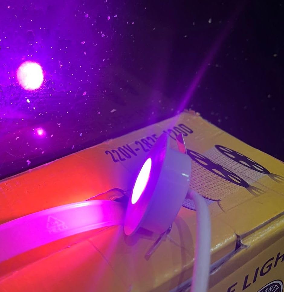 - 2W Button Shape spot Light Pink Color |Pack of 4| Focused Light Suitable for Temple, TV Units, Cabinets, Showcase | Pink Color Light | Compact Round Design for Small Spaces