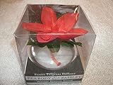 Peabody and Paisley Poinsettia Festive Fragrance Diffuser Winter Breeze Scent
