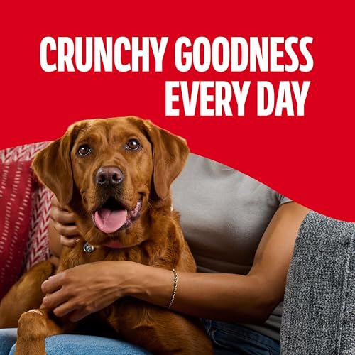 Image of Milk-Bone Flavor Snacks Large Dog Biscuits, Flavored Crunchy Dog Treats, 24 Oz. Box