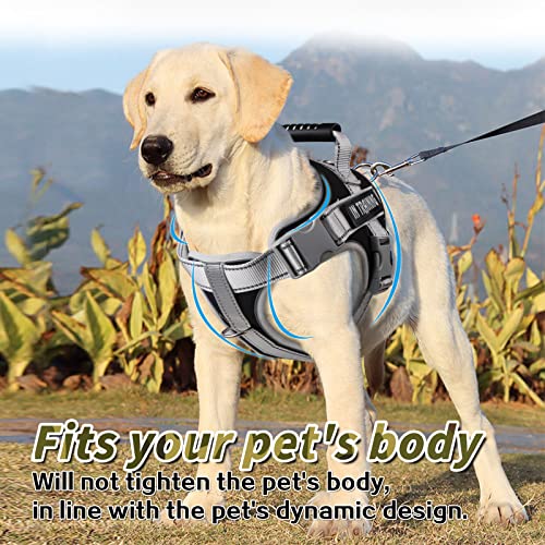REHTRAD-Dog-Harness-Adjustable-Dog-Body-Belt-For-Large-Dogs-With-Copybook-Dog-Vest-XL-Black-Pack-of-1330-gram