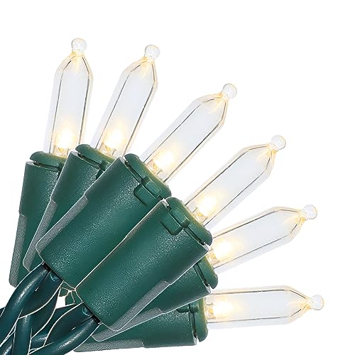 Top 10 Best Commercial Outdoor Christmas Lights Reviews & Buying