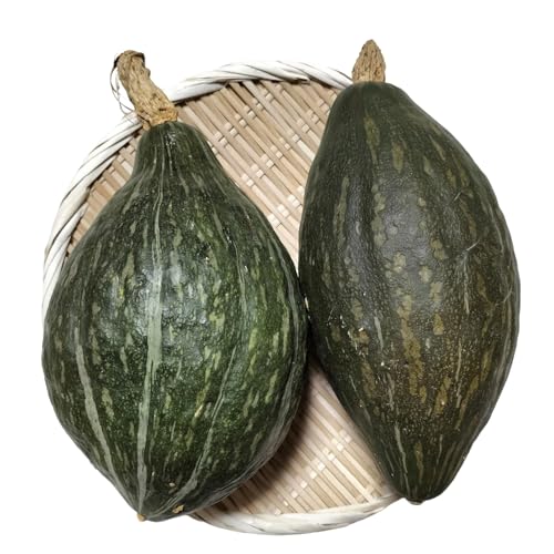 カボチャ 旨味がトロけるロロンで幸せな一時を 約2800g