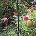 Backyard Expressions - Set of 3 Squirrel Proof Bird Feeders for Outside - Bonus Ebook and Bird Attraction Audio Included - Squirrel Resistant Bird Feeders