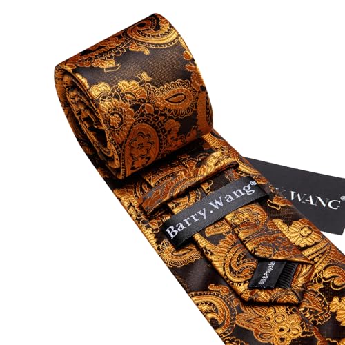 Image of Barry.Wang Paisley Tie for Men Silk Woven Necktie and Tie Clip Set Wedding Party Business Formal