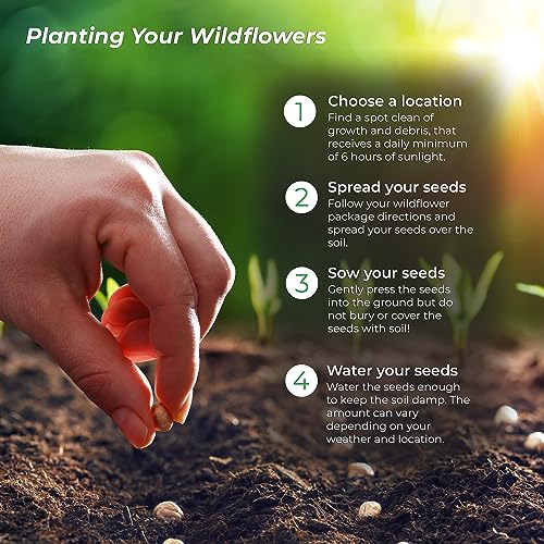 Created By Nature Nevada Wildflower Seed Mix, 14 Flower Varieties, 30,000 Seeds