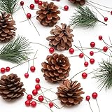 TRIXES Kit de Decoración de Corona Navideña - Piñas Artificiales, Hojas de Pino, Bayas Rojas - Corona Festiva DIY - Adorno de Manualidades