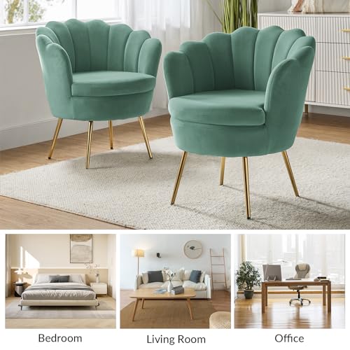 Image of HULALA HOME Modern Velvet Accent Chair with Shell Shaped Back, Cute Living Room Bedroom Armchair Sofa Chair with Gold Legs, Comfy Upholstered Vanity Chair for Makeup Room, Sage