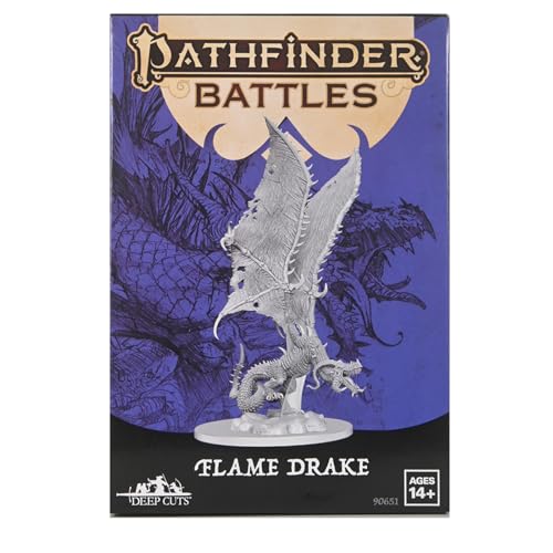 Pathfinder Deep Cuts: Flame Drake miniatura 1