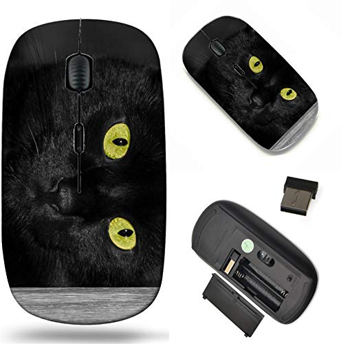 Best Wireless Mice For Chromebooks Animal Images