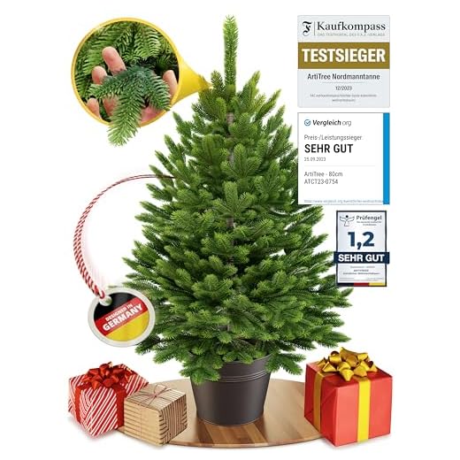 ArtiTree - Künstlicher Weihnachtsbaum im Topf - Christmas Tree für Innen und Außen, Kunstlich Baum für Weihnachtsdeko, Realistische Optik (80 cm, ohne Beleuchtung)