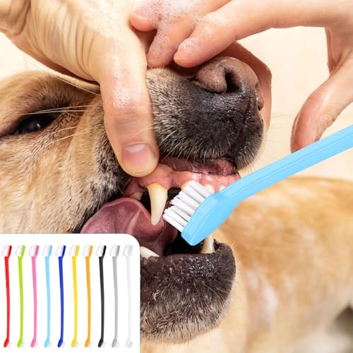 Image of XIHIRCD 100pcs Dog Toothbrush Bulk, Dual Headed Soft Bristles Toothbrush Anti-Slip Cat Teeth Brush Easy Teeth Cleaning Dental Care Pet Toothbrush for Small and Large Dogs Cats Most Pets (10 Colors)