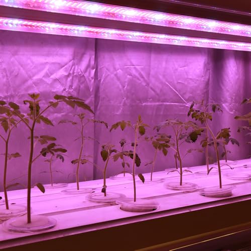 highydroLED 植物育成ライト 60W フルスペクトラム 長さ120CM 6本セット T8LED器具一体型直管蛍光灯 ZW0219 の商品画像 7