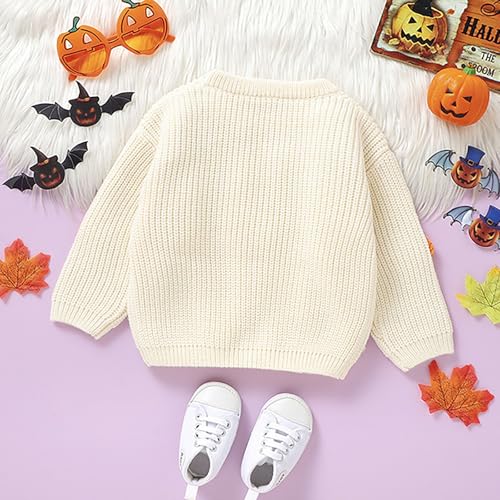 Toddler Kids Halloween Floral Sweater Cute Pumpkin Print Knitted Pullover Crew Neck Knitwear Outwear Fall Winter4