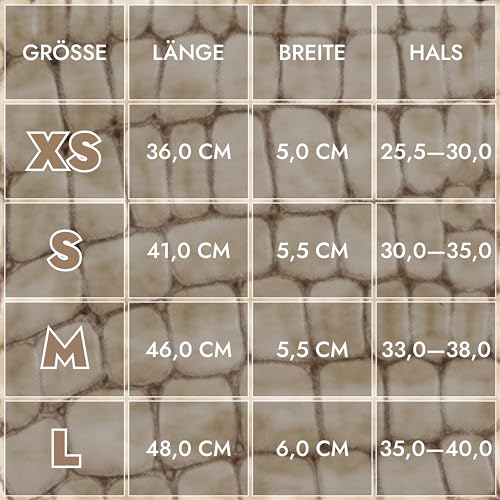 FAVPET Luxus Echtleder Windhund Halsband Breit mit QR Code Anhänger, Weiches Lederhalsband Hund Breit Whippet Italienisches Windspiel Saluki Lurcher Spanischer Galgo Greyhound Podenco (Beige, M)
