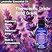 Organic, Lavender Essential Oil, Food Grade, for Drinks, Skin, Hair – 100% Pure, Lavender Oil, by Zongle Therapeutics, 1 OZ
