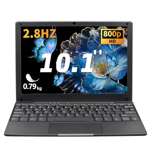 BINTEC 10.1 inch Ultra-Thin Portable Mini Laptop,Celeron N4000 Processor (up to 2.8Ghz), 8GB RAM DDR4,Weight only About 0.8Kg,Built-in Webcam, WiFi, Easy to Carry (Gray, 8G+128GB SSD)