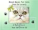 Mood Music For Cats (And Cat Lovers) - A Ball of Twine