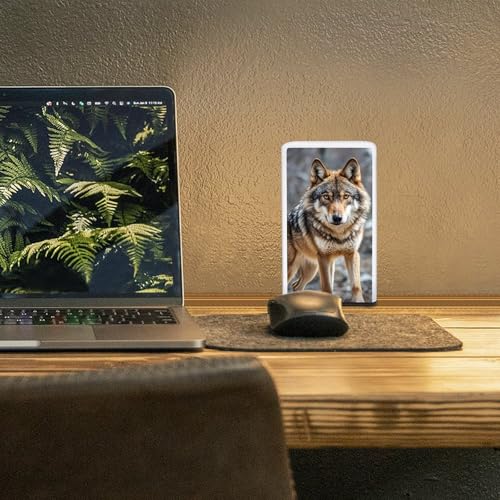 Lampe de bureau pour maison et lecture nocturne confortable