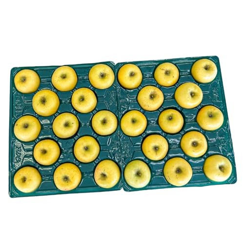 [先行予約]センドイット[家庭用][訳あり]長野県産 りんご シナノゴールド 約10kg(20〜30玉程度)(2026年10月下旬〜12月下旬順次発送)