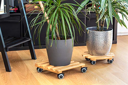 Metafranc Pflanzenroller Ø 300 mm - 60 kg Tragkraft - Bambus-Platte - Natürlicher Holz-Look - TPE-Rollen mit 4 Feststellern / Indoorroller / Blumenroller / Transporthilfe für Pflanzen / 825330