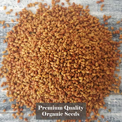 Organic Alfalfa Sprouting Seeds 1kg | Non GMO Healthy Superfood |Easy to Sprout in 4 Days | High Germination into Microgreens