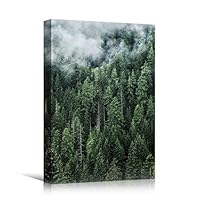 Canvas Wall Art Green Forest Dramatic Forest Landscape Living Room Multicolor Photography Rustic - 12x18 inches