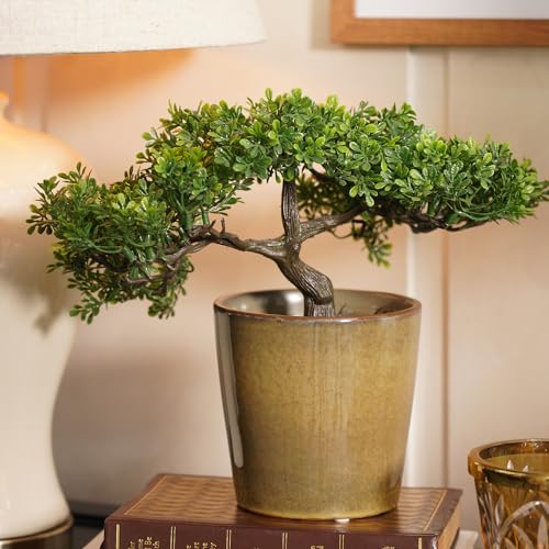 See full amazon price history chart for Pure Home + Living Set of 2 Beige Ceramic Pots - Large Pure Home + Living Set of 2 Beige Ceramic Pots - Large (B0CM18GWLN) Amazon Price History, Amazon Price Tracker