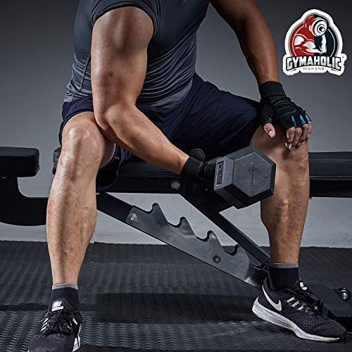 Image of Gymaholic Hexa Rubber Dumbbell with Metal Handles (Black, Single and Pair, Dumbbells in Weights 2.5 kg Single)