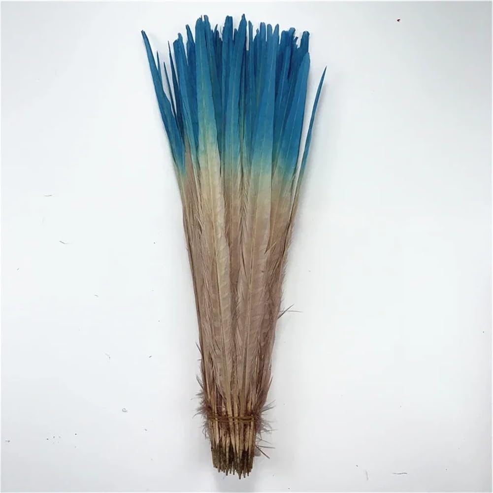 Natural Pheasant Feathers, Ringneck Pheasant Feathers, Craft, Pack of 100 Multicolor 40-45 Centimeters