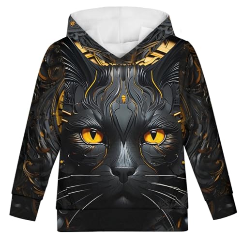 GLUDEAR Boys Girls 3D Print Graphic Sweatshirts Long Sleeve Pullover Hoodies