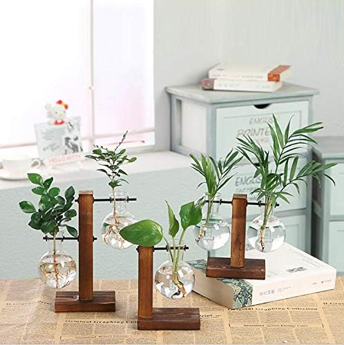 Kingbuy Glass Planter Bulb Vase Desktop Plant Terrarium with Retro Solid Wooden Stand for Propagation Hydroponics Water Plants Home Garden Office Decor - Image 2