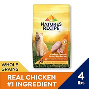 Natures recipe hen barley  brown rice recipe dry canine meals 4 lb Bag   cucciolini doodles