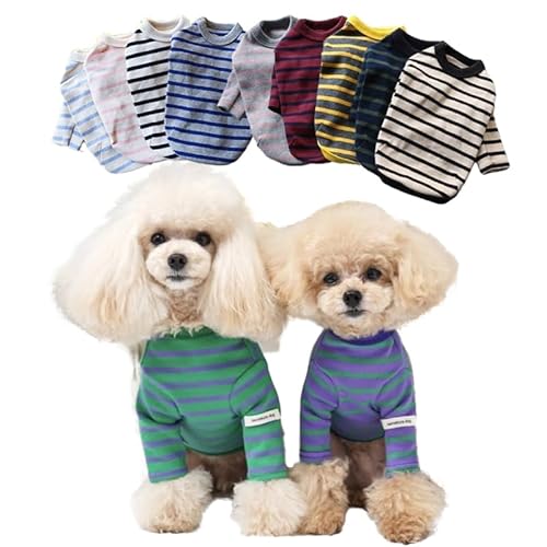 ykamakura dog qhbOzq{[_[' ̕    Jo (S.u[, L)