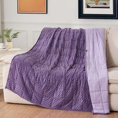 Image of Mr. Sandman Weighted Blanket for Adults Queen Size 20 lbs, Soft Cooling Heavy Minky Blanket for Sleep, Washable Throw Blanket with Glass Beads, 60 x 80 Inches, Purple /Lavender