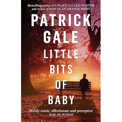 Little Bits of Baby: A quirky, comedic novel of breakdown, escape and the possibilities of finding love